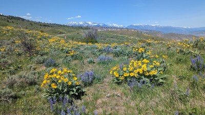 Day Hike - Sage Hills—Horse Lake Viewpoint Loop