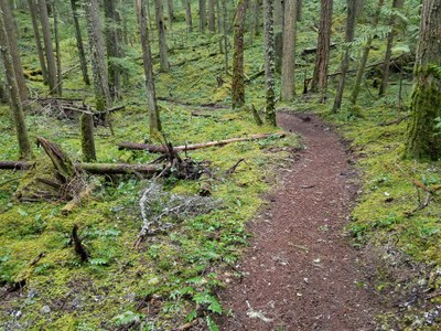 Day Hike - Skookum Flats