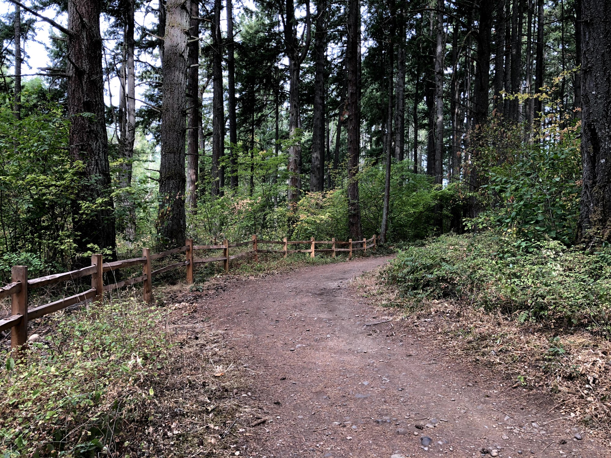 Day Hike Spanaway Park & Bresemann Forest — The Mountaineers