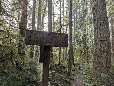 Day Hike - Squak Mountain: May Valley Access