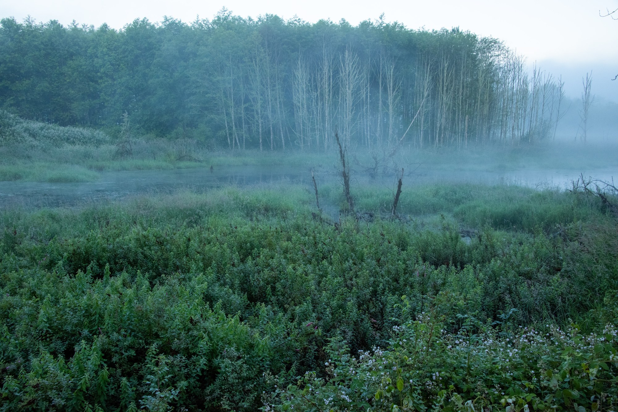 Day Hike Stillwater Natural Area — The Mountaineers