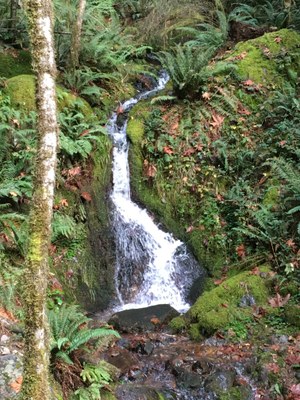 Day Hike - Teneriffe to Talus Loop