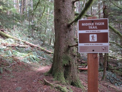 Day Hike - Tiger Mountain Trail
