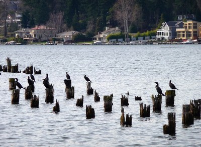Day Hike - Tracy Owen Station Park to Marina Park