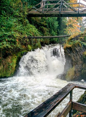 Day Hike - Tumwater Falls Park
