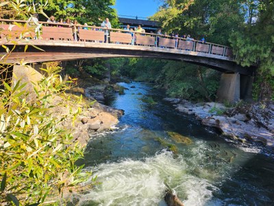 Day Hike - Tumwater Falls Park