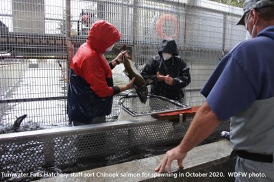 Day Hike - Tumwater Historical Park