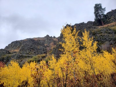 Day Hike - Umtanum Creek Canyon