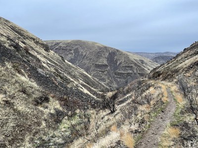 Day Hike - Umtanum Ridge