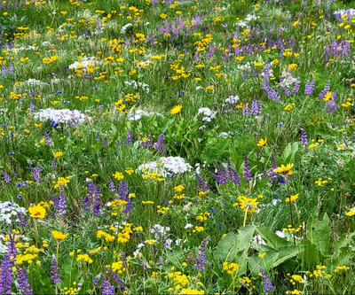 Day Hike - Umtanum Ridge