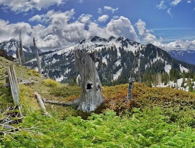 Day Hike - Wagonwheel Lake & Silver Snag Hill