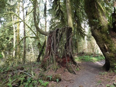 Day Hike - Watershed Park