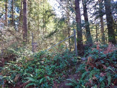 Day Hike - West Tiger #1 Loop via Bootleg and Preston Trails