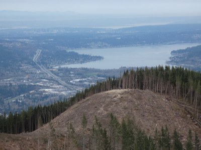 Day Hike - West Tiger Mountain 1 & 2