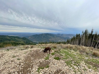 Day Hike - West Tiger Mountain No. 2