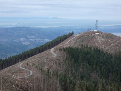 Day Hike - West Tiger Mountain No. 3