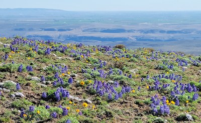 Day Hike - Whiskey Dick Mountain