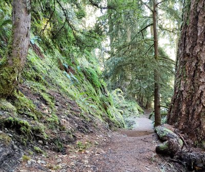 Day Hike - Mud Mountain Dam Trails