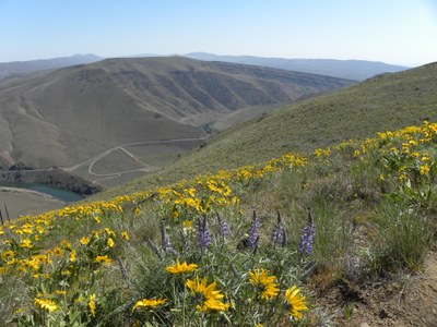 Day Hike - Yakima Skyline Ridge — The Mountaineers