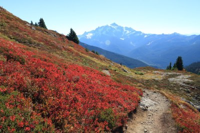 Day Hike - Yellow Aster Butte
