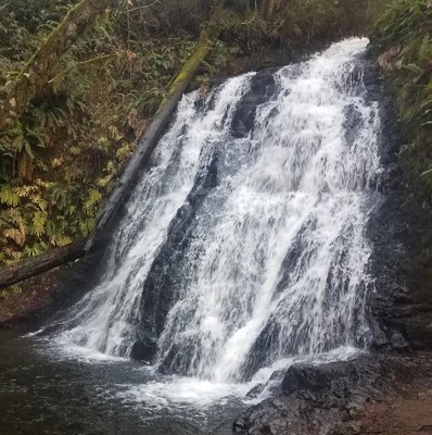 Day Hike - Zach's Lookout