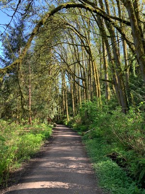 Frontcountry Trail Run - Cowen & Ravenna Parks