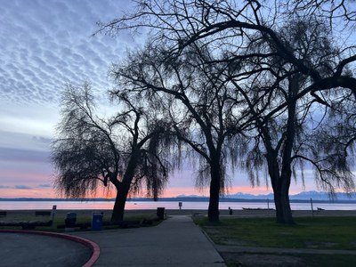 Frontcountry Trail Run - Golden Gardens Park