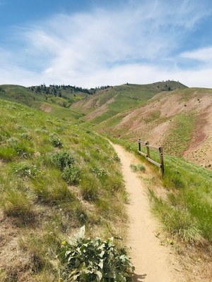 Frontcountry Trail Run - Sage Hills—Horse Lake Viewpoint Loop