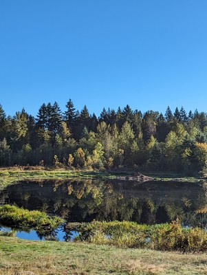 Frontcountry Trail Run - Spring Lake/Lake Desire Park