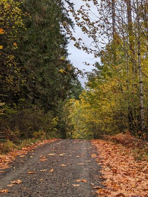 Frontcountry Trail Run - Spring Lake/Lake Desire Park