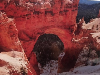 Global Adventure - Hike Utah’s Zion, Bryce & Capital Reef National Parks