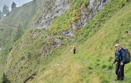 terrain2.jpg