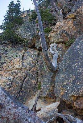 Intermediate Alpine Climb - Le Petit Cheval/Spontaneity Arête