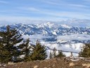 Intermediate Snowshoe - Lookout Mountain