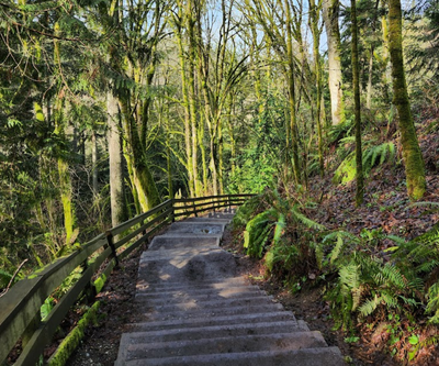 Naturalist Trip - Meadowdale Beach Park