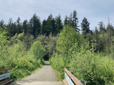 Naturalist Trip - Millersylvania State Park