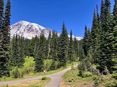 Naturalist Trip - Paradise Area Trails