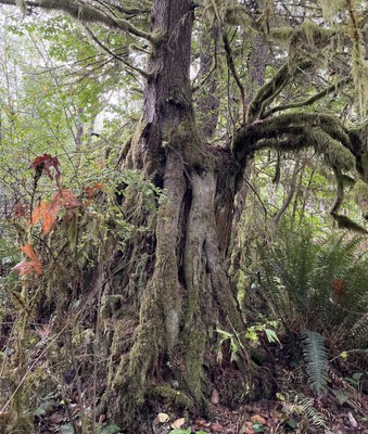 Naturalist Trip - Paradise Valley Conservation Area