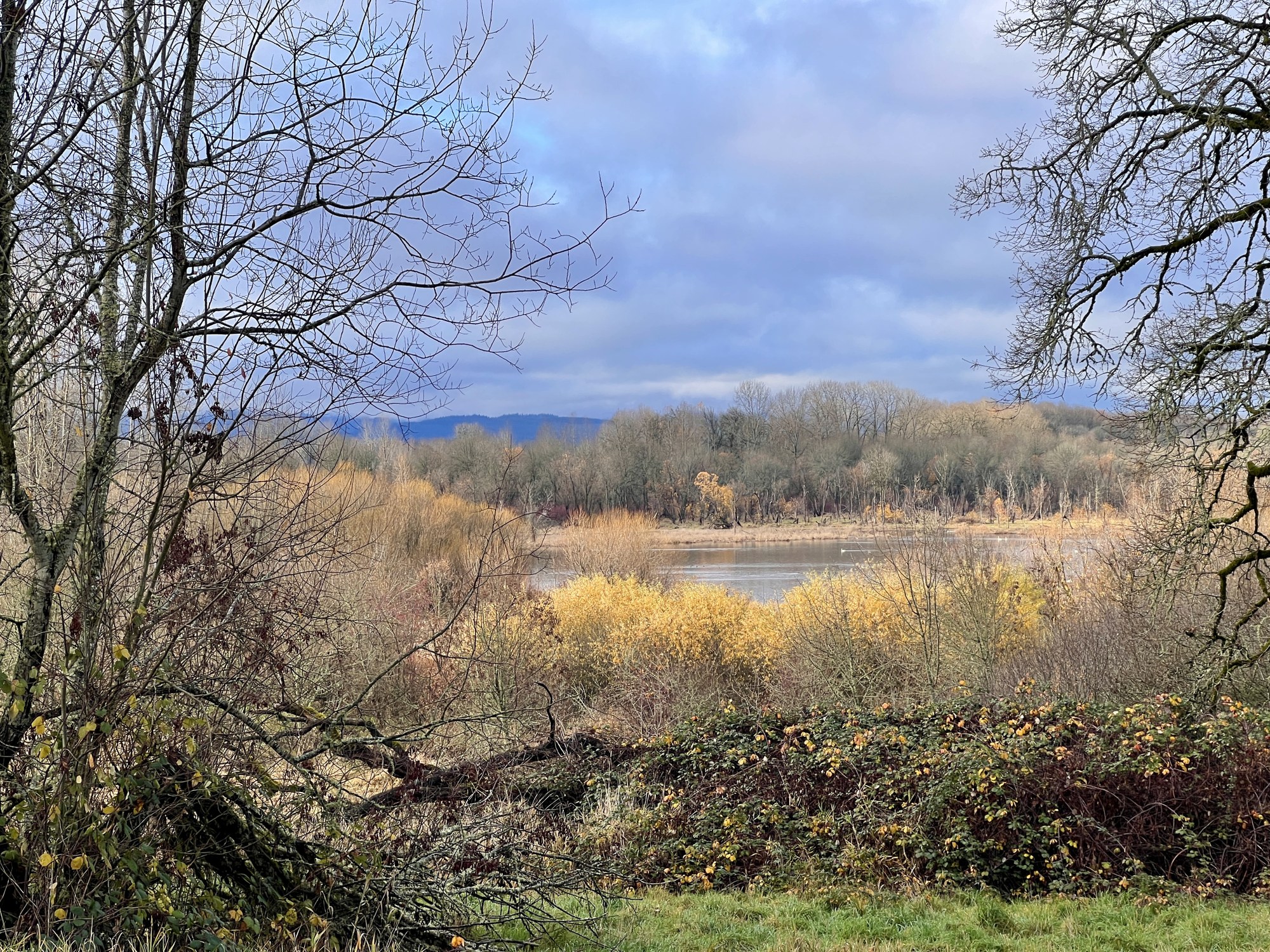 Naturalist Trip - Ridgefield National Wildlife Refuge — The Mountaineers