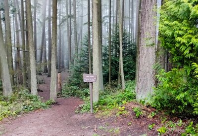 Naturalist Trip - Shoreview & Boeing Creek Parks