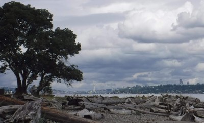 Sea Kayak - Bainbridge Island Circumnavigation