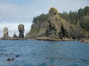 Sea Kayak - Cape Flattery