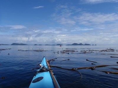 Sea Kayak - Cape Sutil