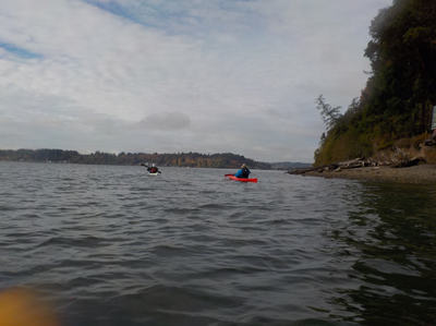 Sea Kayak - Case Inlet