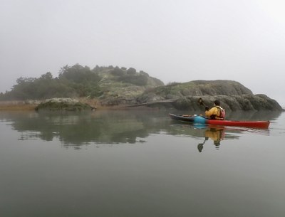 Sea Kayak - Goat Island