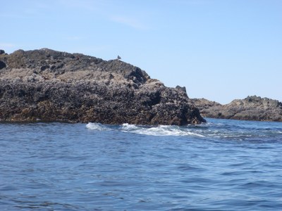 Sea Kayak - Hammersley Inlet