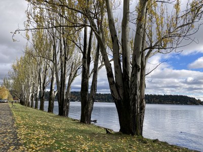 Sea Kayak - Mercer Island