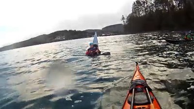 Sea Kayak - Neah Bay