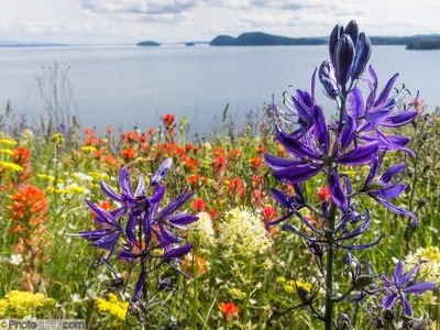 Sea Kayak - Saddlebag & Vendovi Islands