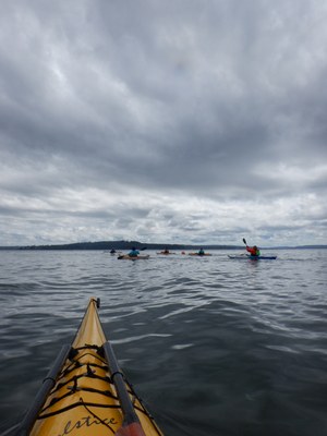 Sea Kayak - Skagit & Hope Islands